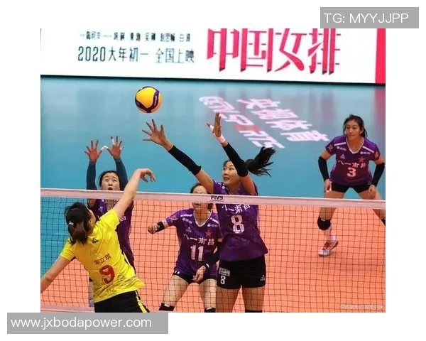 成都排球队的奋斗历程与冠军赛背后的故事揭秘