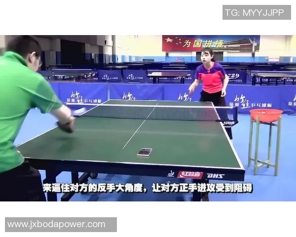 南京乒乓球队区域防守体系的战术解析与实践探讨
