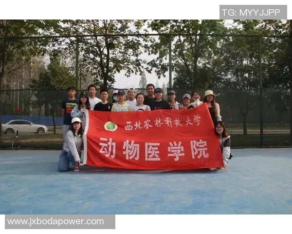 赛后分析：重庆网球队与西安网球队的耐力较量与战术对决